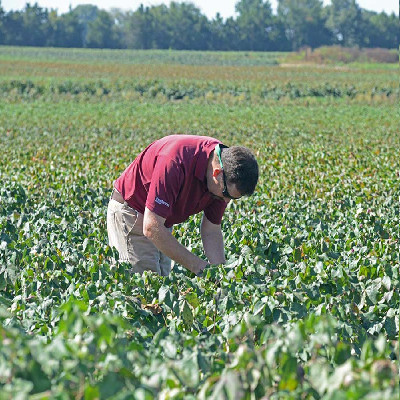 Mid-South Farmers Co-op