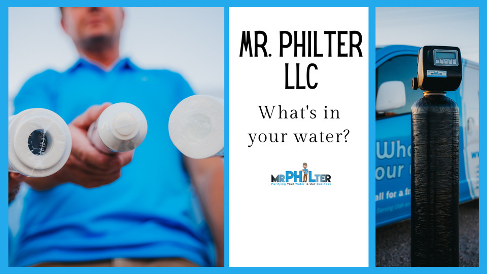 Mr. Philter, LLC