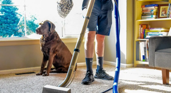 Matty’s Carpet & Air Duct Cleaning