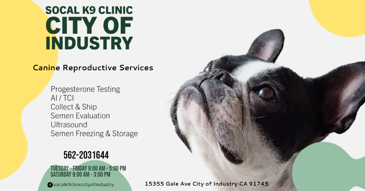 SoCal K9 Clinic City of Industry